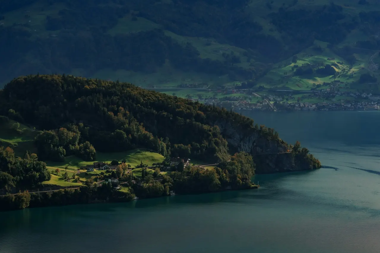 Forest and lake below Bürgenstock